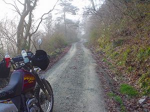 �����ѓ�3�^ORR