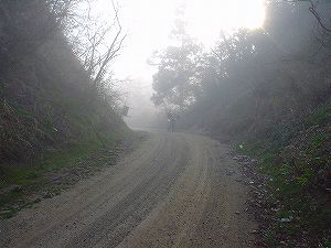 �����ѓ�4�^ORR