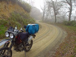 �����ѓ�5�^ORR