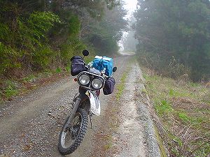 �����ѓ�6�^ORR