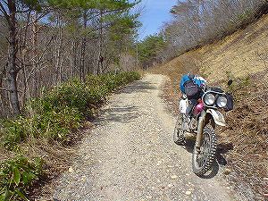 �s������ď���5�^ORR