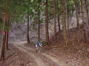 �ɒB��ѓ��i�Ε�c���j4�^ORR