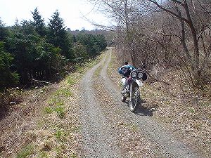 �V���ѓ�4�^ORR