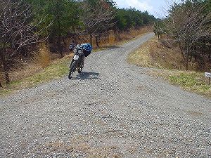 �V���ѓ�5�^ORR