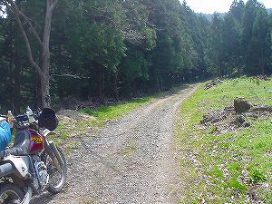 ���ڗѓ�2�^ORR