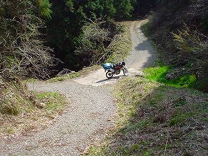 ���ڗѓ�3�^ORR