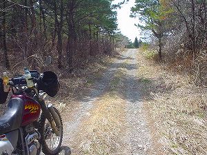 ���ڗѓ�6�^ORR