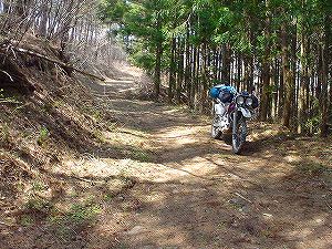 �֐�ѓ�2�^ORR