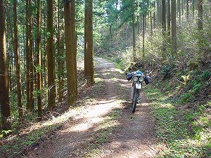 �֐�ѓ�5�^ORR