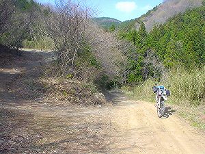 �X���ѓ�4�^ORR