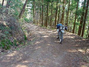 �X���ѓ�5�^ORR