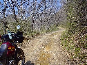 �X���ѓ�6�^ORR