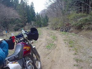 ���c�ѓ�4�^ORR