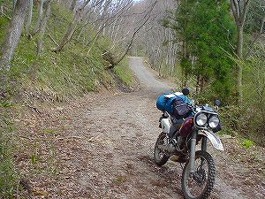 ���c�ѓ�5�^ORR