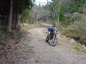 ���c�ѓ�6�^ORR