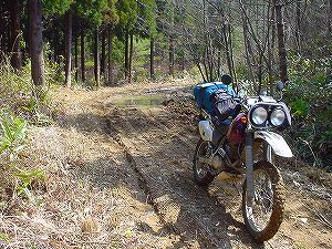 ���{�ѓ�2�^ORR