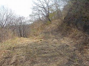 ���{�ѓ�5�^ORR