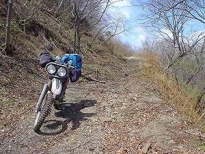 ���{�ѓ�6�^ORR