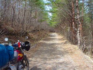 �����֑�ѕ���4�^ORR