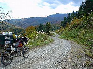 ������m��ѓ�6�^ORR