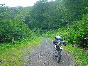 ��㉜�R�ѓ�4�^ORR