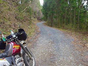 ���̉z�H�ѓ�2�^ORR