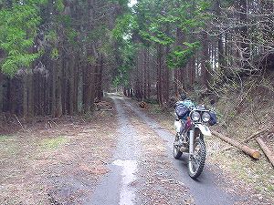 ���̉z�H�ѓ�6�^ORR