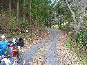 �����x���ѓ�3�^ORR