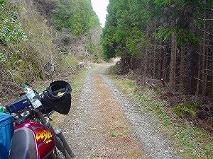 �����x���ѓ�4�^ORR