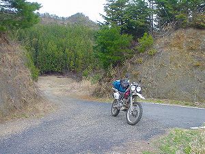 �����x���ѓ�5�^ORR