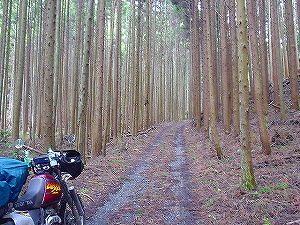 �֑�ѓ�2�^ORR