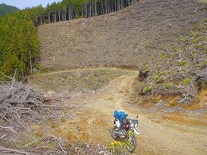 �֑�ѓ�3�^ORR