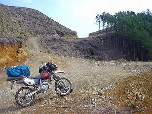 �֑�ѓ�4�^ORR