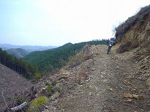 �֑�ѓ�5�^ORR