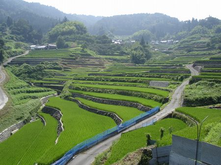 ��m�̒I�cbyORR