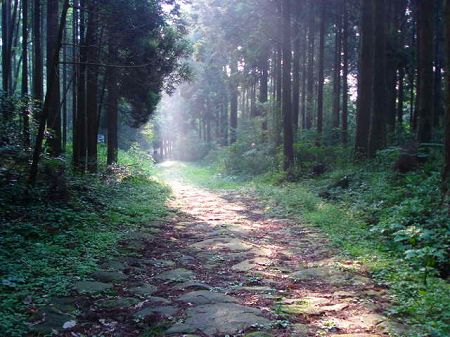 ��d�m���̐Ώ�byORR