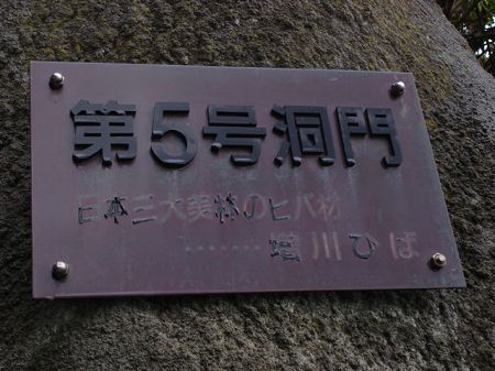 ��T������5byORR