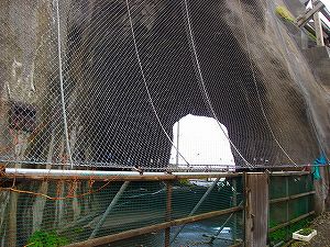 ���ő�P�P������4byORR