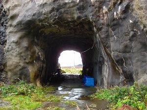 ���ő�P�Q������5byORR