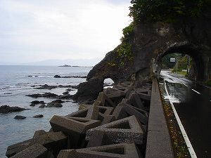 ���ŉF�S�C������1byORR