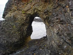 ���ŉF�S�C������2byORR