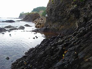 ���ŉF�S�C������7byORR