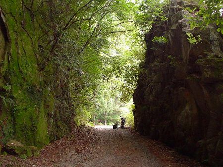 ��m��܍�詓�