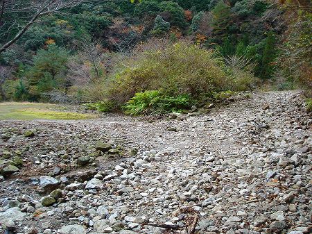 ��m��l��詓�