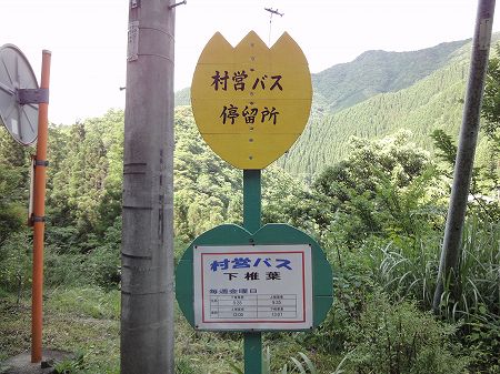 ���ŗt���詓��P