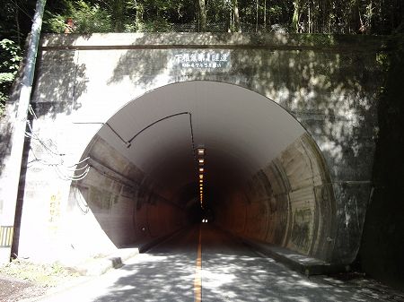 ���ŗt���詓��T