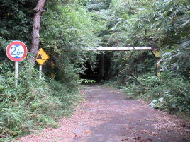 �V�_詓��E�V�_�g���l��