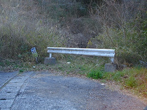 ��l����詓��ւ̐i���H