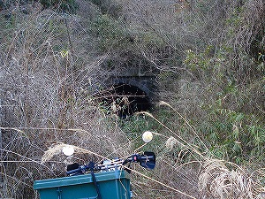 �M�ɂ������܂��l����詓�