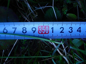 ��l����詓��ő卂